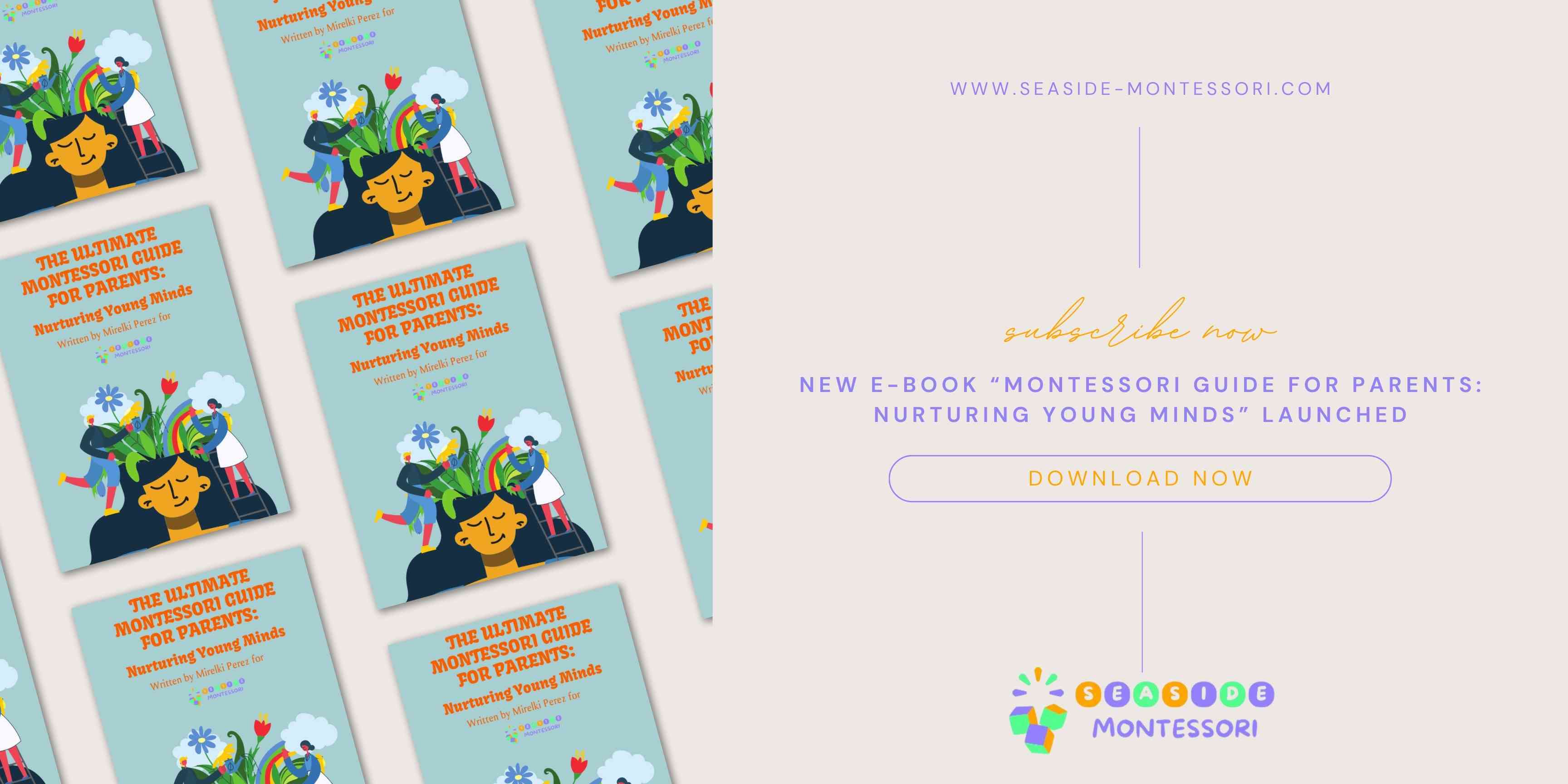 Empowering-Young-Minds-with-Montessori Seaside-Montessori