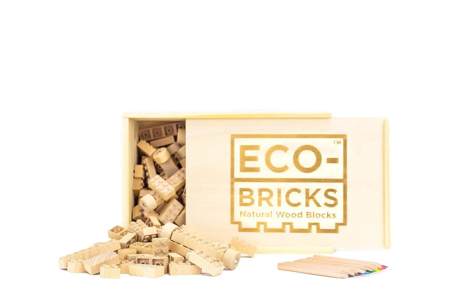 Eco Bricks 250pcs Seaside-Montessori