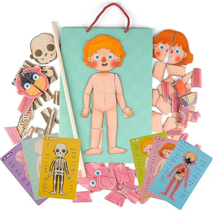 Human Body Puzzle Seaside-Montessori