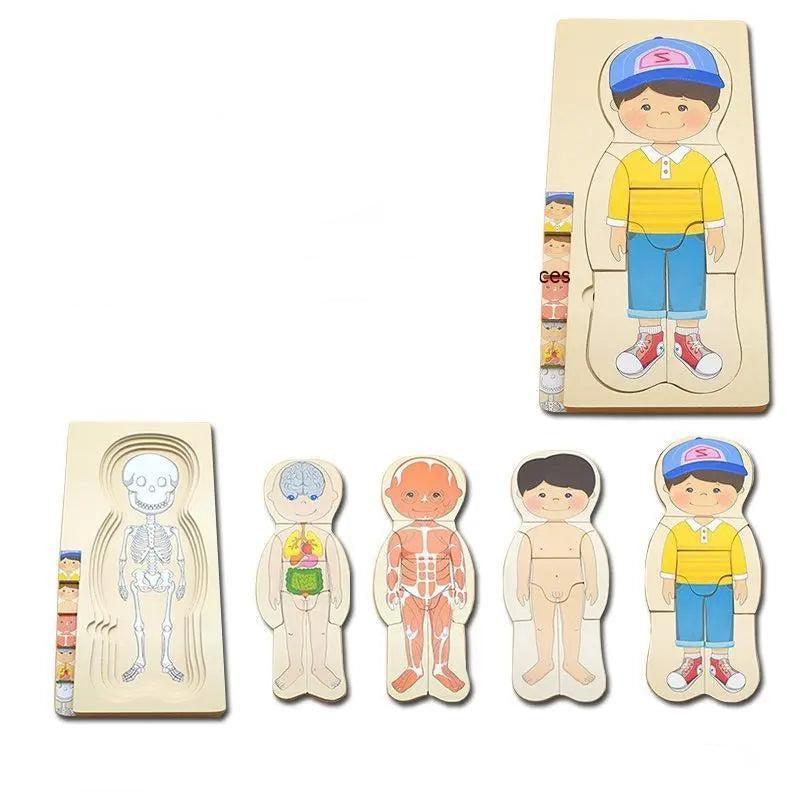 Body Structure Puzzle Seaside-Montessori