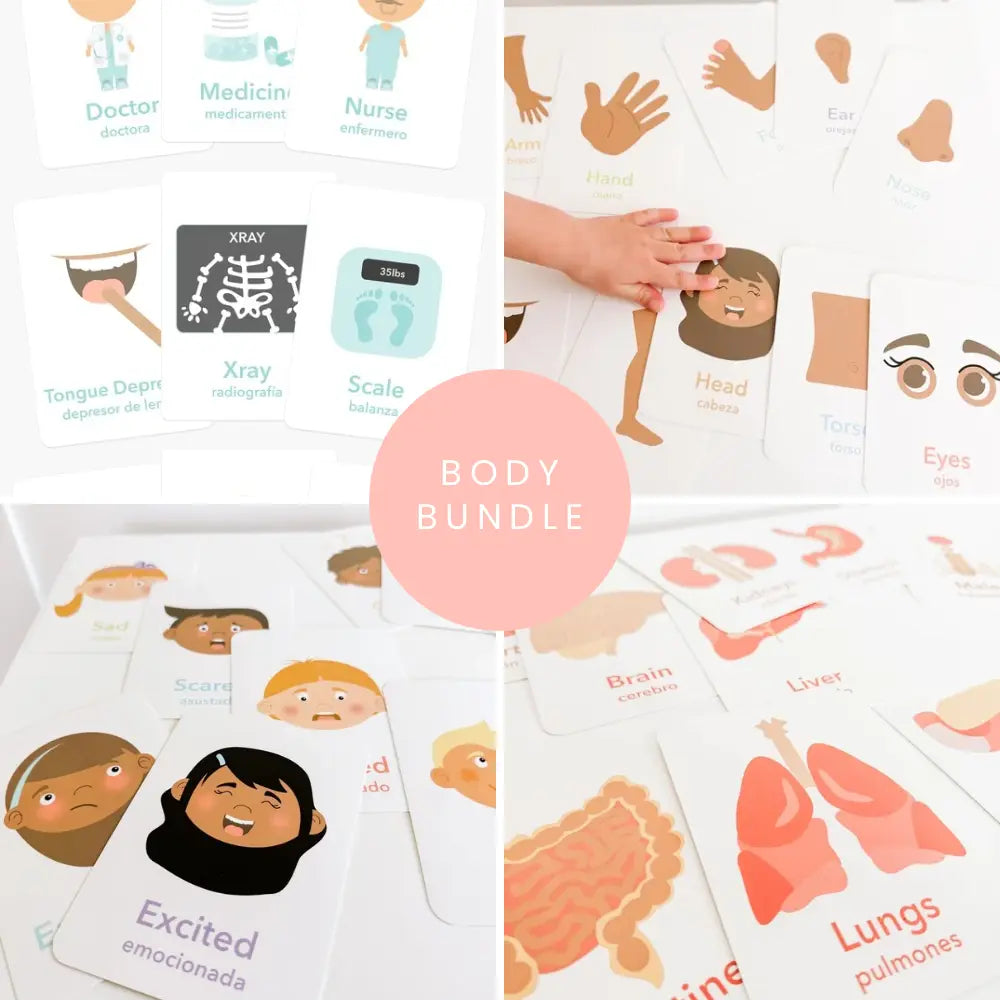 Body Flashcards Bundle GoodnightFox
