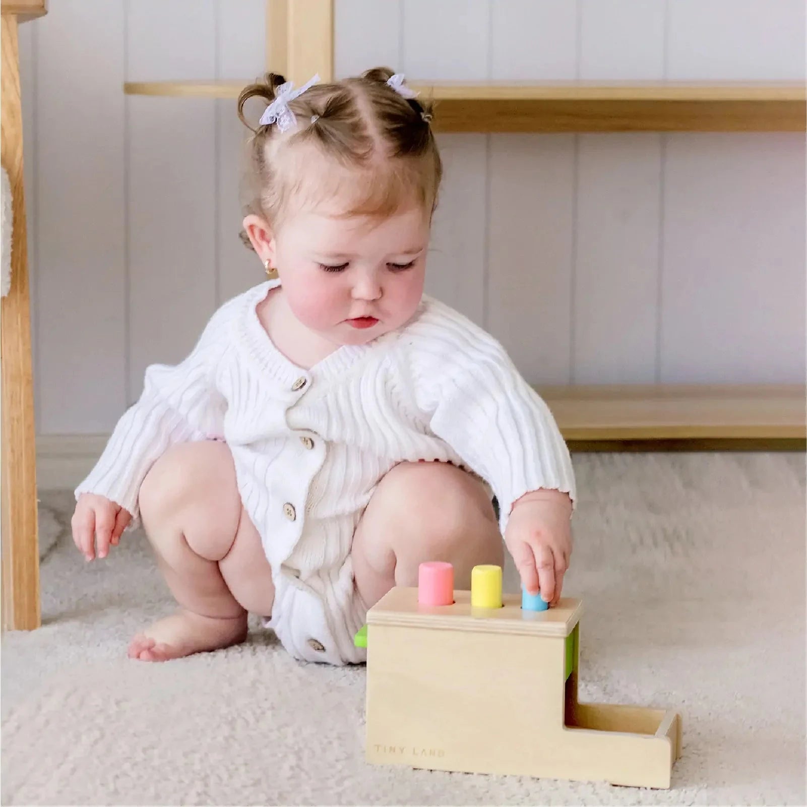 Tiny Land® Montessori Toys for Infants (10–12 Months) Tiny Land INC