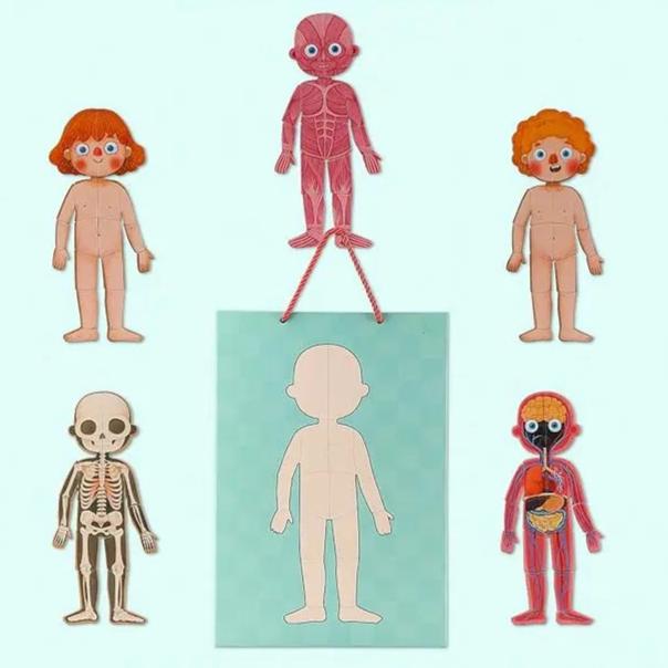 Human Body Puzzle Seaside-Montessori